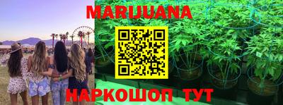 дмт Балахна