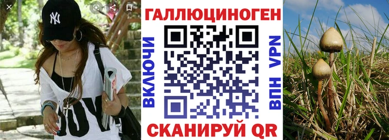 мега сайт  нарко площадка Telegram  Галлюциногенные грибы ЛСД  Долгопрудный 