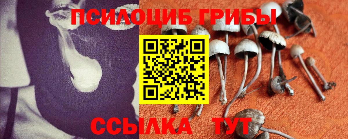 Псилоцибиновые грибы Magic Shrooms Долгопрудный